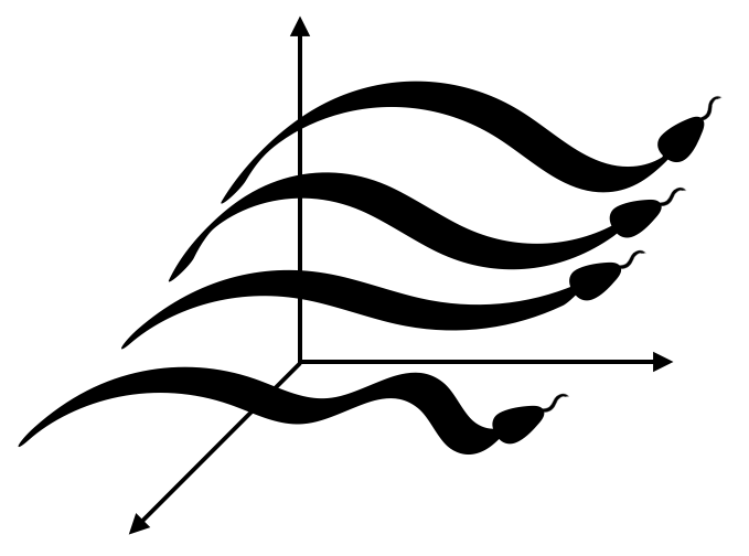 py-SWE